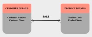 Conceptual Data Model